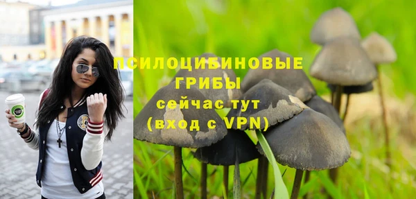 jwh Алзамай