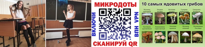 где купить наркоту  Катайск  Псилоцибиновые грибы Magic Shrooms 